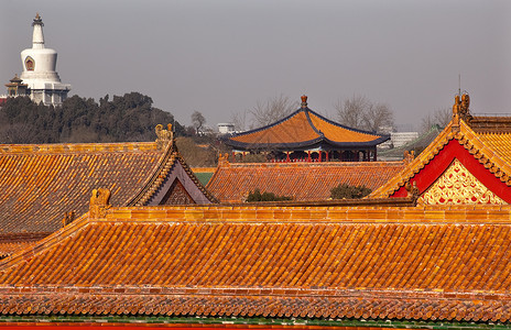 蓝殿堂 紫禁市黄屋顶Gugong Pa背景图片