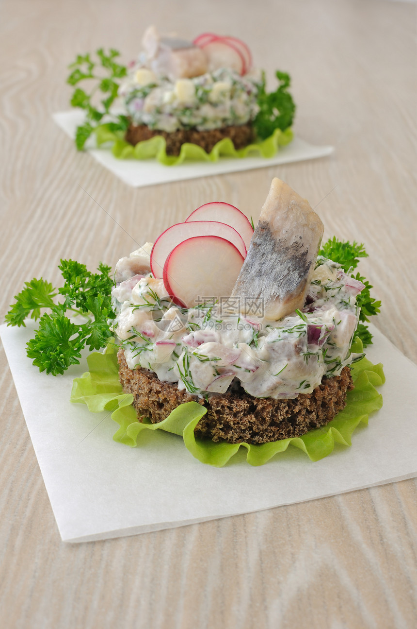 含苹果和萝卜的咸小吃面包敷料洋葱茴香鲱鱼午餐食物配件鞑靼图片