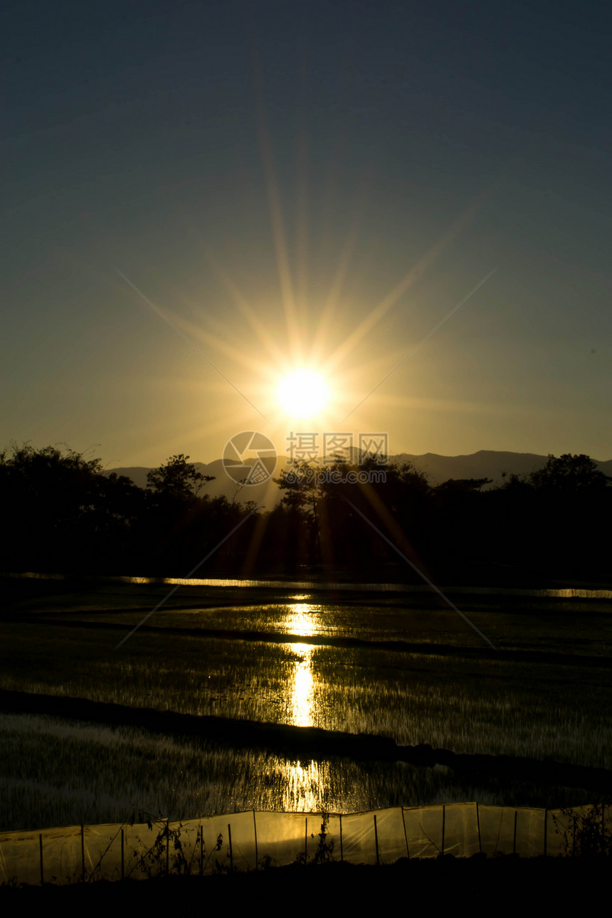 日落之夜露天稻田旅行季节场景场地晴天地平线反射金子马蹄铁假期图片