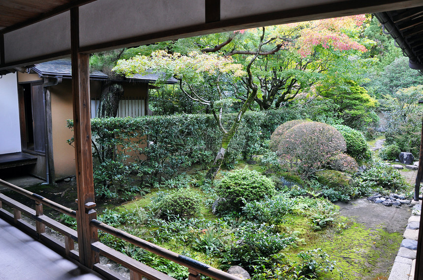 日本花园 京都大都会寺庙小户的日本花园 日本鬼子图片