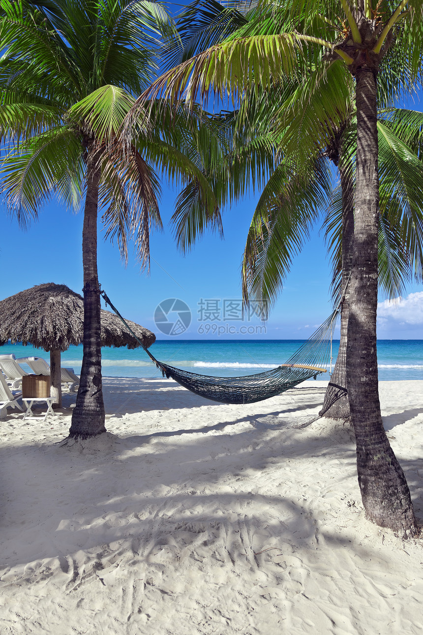 热带度假旅游天堂天空奢华蓝色旅行海岸树木海滩白色图片