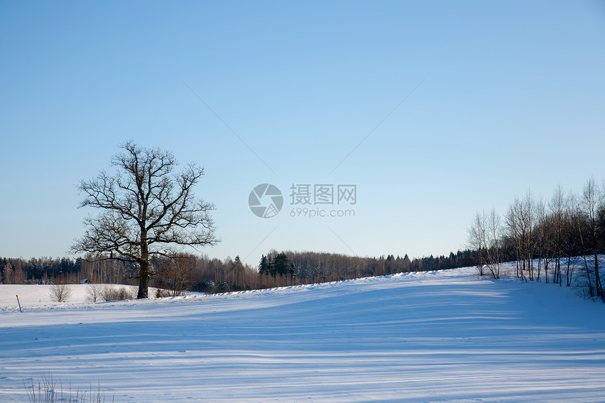 寒冷的俄罗斯冬季极地生命白色全景荒野场景蓝色季节城市森林天空摄影图片