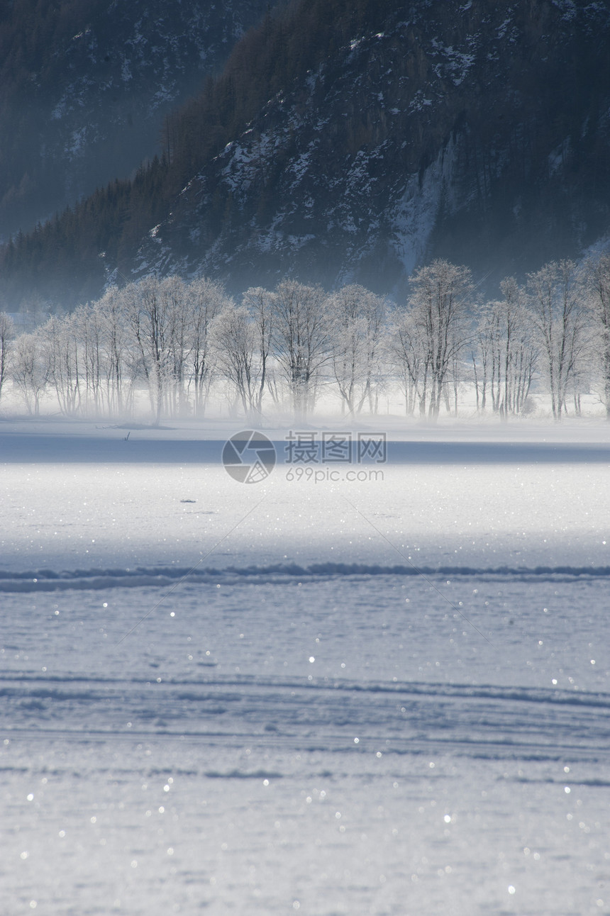霜冻树木高山薄雾图片