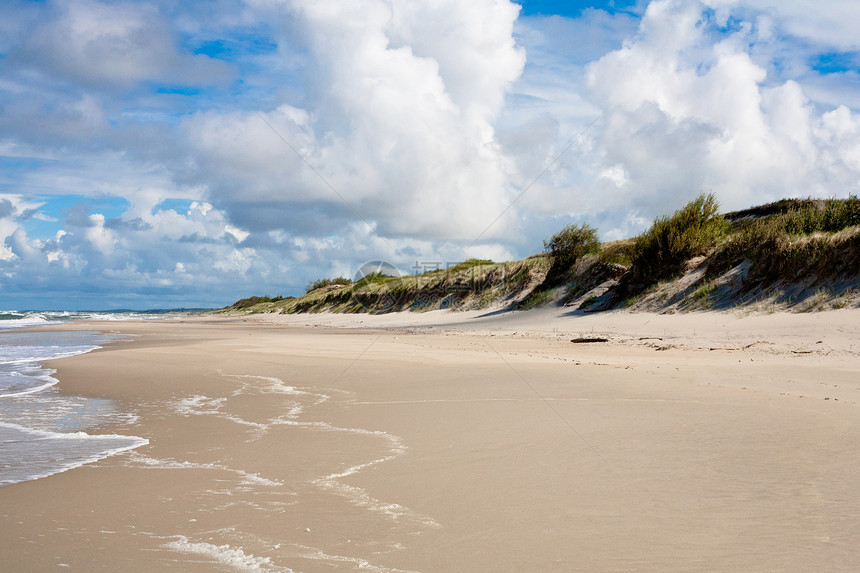 波罗的海冲浪植物沙丘水平绿色蓝色沙嘴海滩海浪泡沫图片