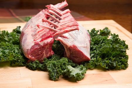 羔羊垃圾替代品生食肋骨肉类饮食白色羊肉红色背景图片
