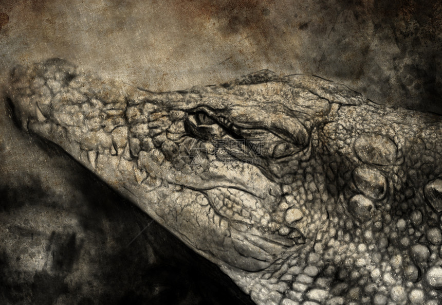 使用数字平板 鳄鱼等说明动物卡通片爬虫眼睛生物插图艺术攻击牙齿怪物图片