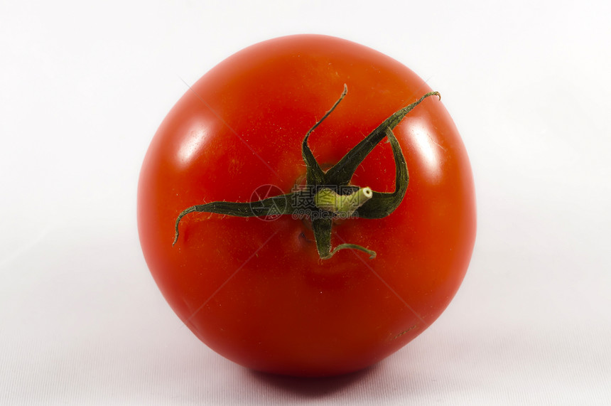 孤立的西红柿农业红色叶子植物宏观蔬菜食物绿色图片