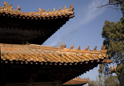 中国山东省Qufu 孔子寺屋顶背景图片