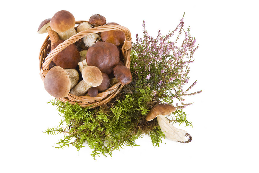 篮子里的蘑菇菌类季节叶子编篮烹饪美味蔬菜宏观营养森林图片