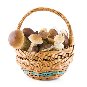编笠菌篮子里的蘑菇荒野美味饮食菌类蔬菜营养季节帽子食物宏观背景