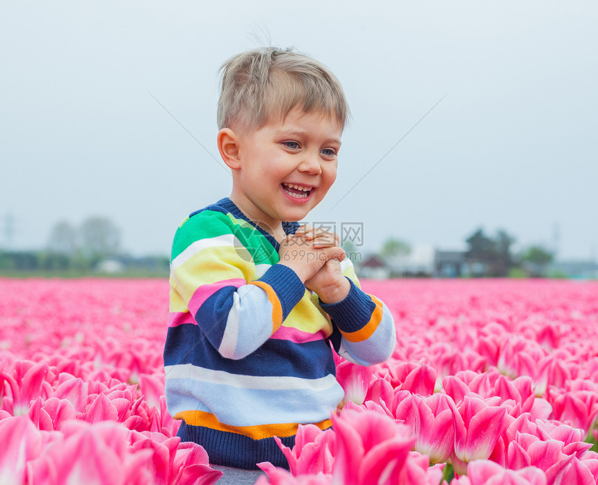 Tullip 域的男孩场地童年生长男生花束季节孩子紫色男性郁金香图片