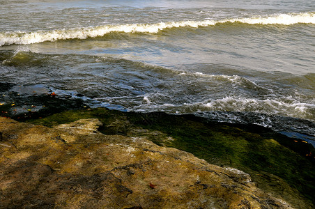藻叶和水银行波浪绿色岩石叶子海浪湖岸苔藓树叶高清图片