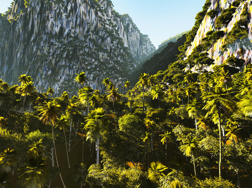 热带热带景观分支机构天堂植物棕榈花园阳光丛林悬崖叶子植物群图片