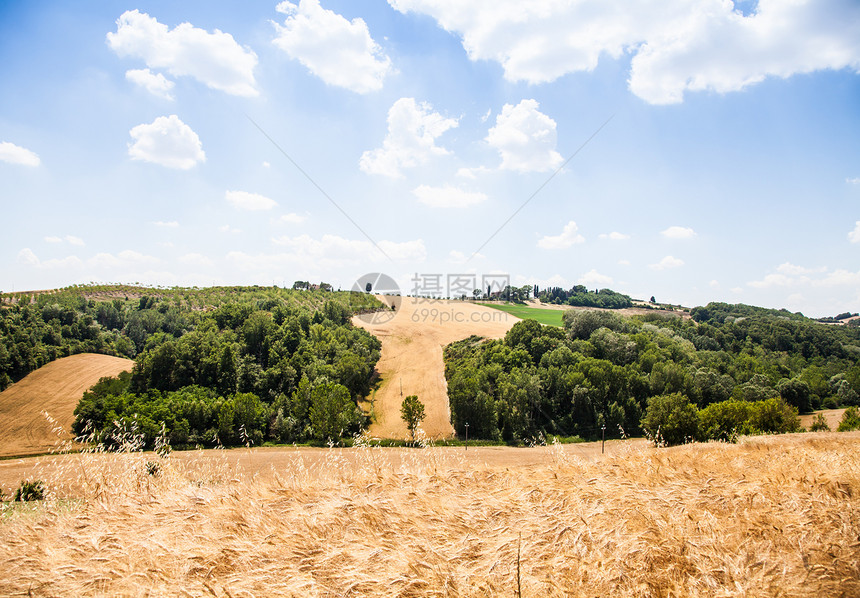 托斯卡纳国家农田天空草地山坡黄色绿色农村风景乡村农业图片