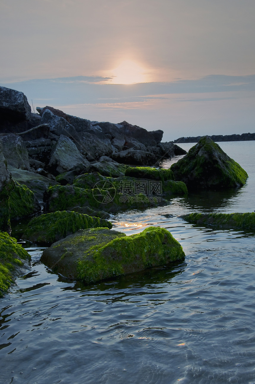海滩阳光太阳日出麝香岩石苔藓日落海景绿色图片