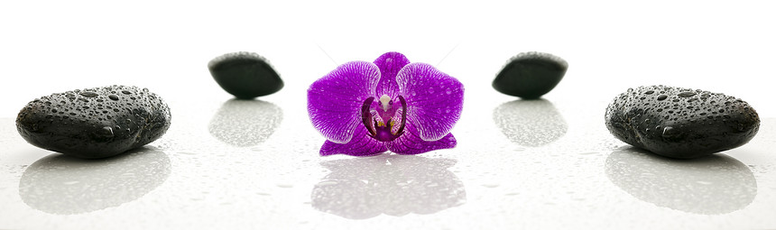福利概念兰花石头紫色黑色按摩卵石粉色温泉卫生治疗图片