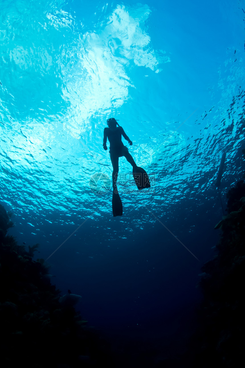 加勒比水域服潜水潜水剪影潜水员浮潜者皮肤图片