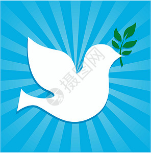 善意带有橄榄枝的和平象征的鸽子插画
