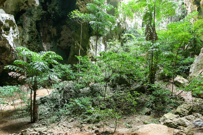 保护热带山山洞绿色旅行国家丛林公园洞穴热带旅游射线阳光图片