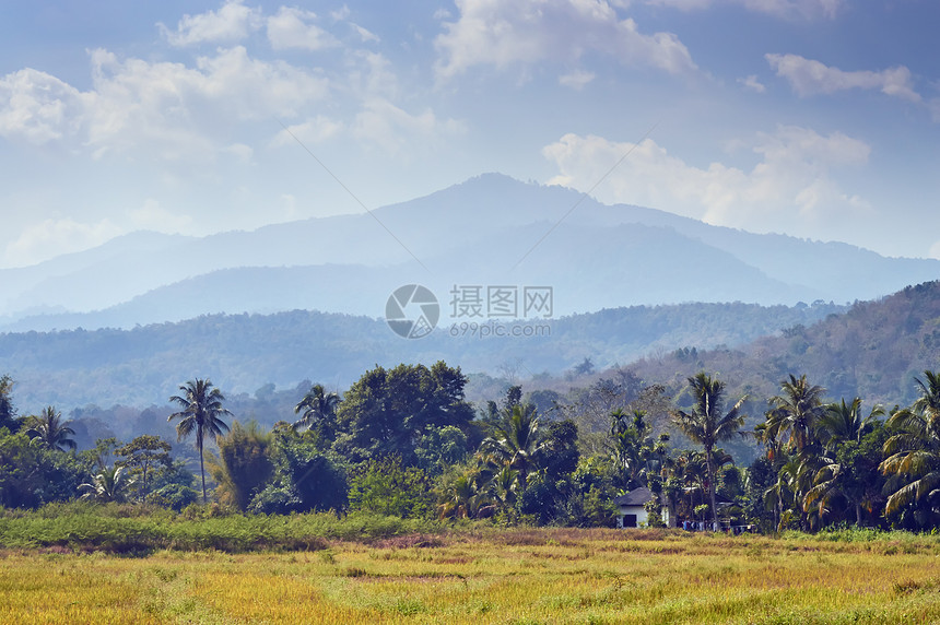 泰国北部旅游树木天空旅行异国草地情调场地图片