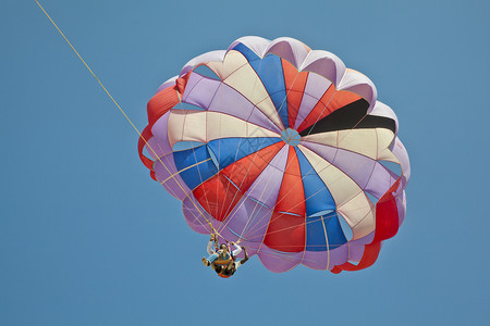 在清蓝天空中的滑翔伞高清图片