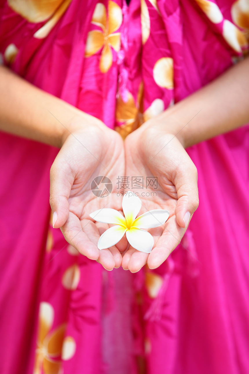 手握着夏威夷花朵图片