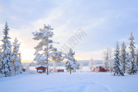 瑞典基律纳冬季风景 瑞典大草地背景