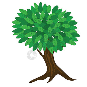 树绘画绿色植物环境插图电脑艺术生长叶子背景图片