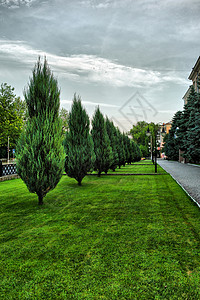 平面小巷多云瓷砖天空树木绿色建筑背景图片