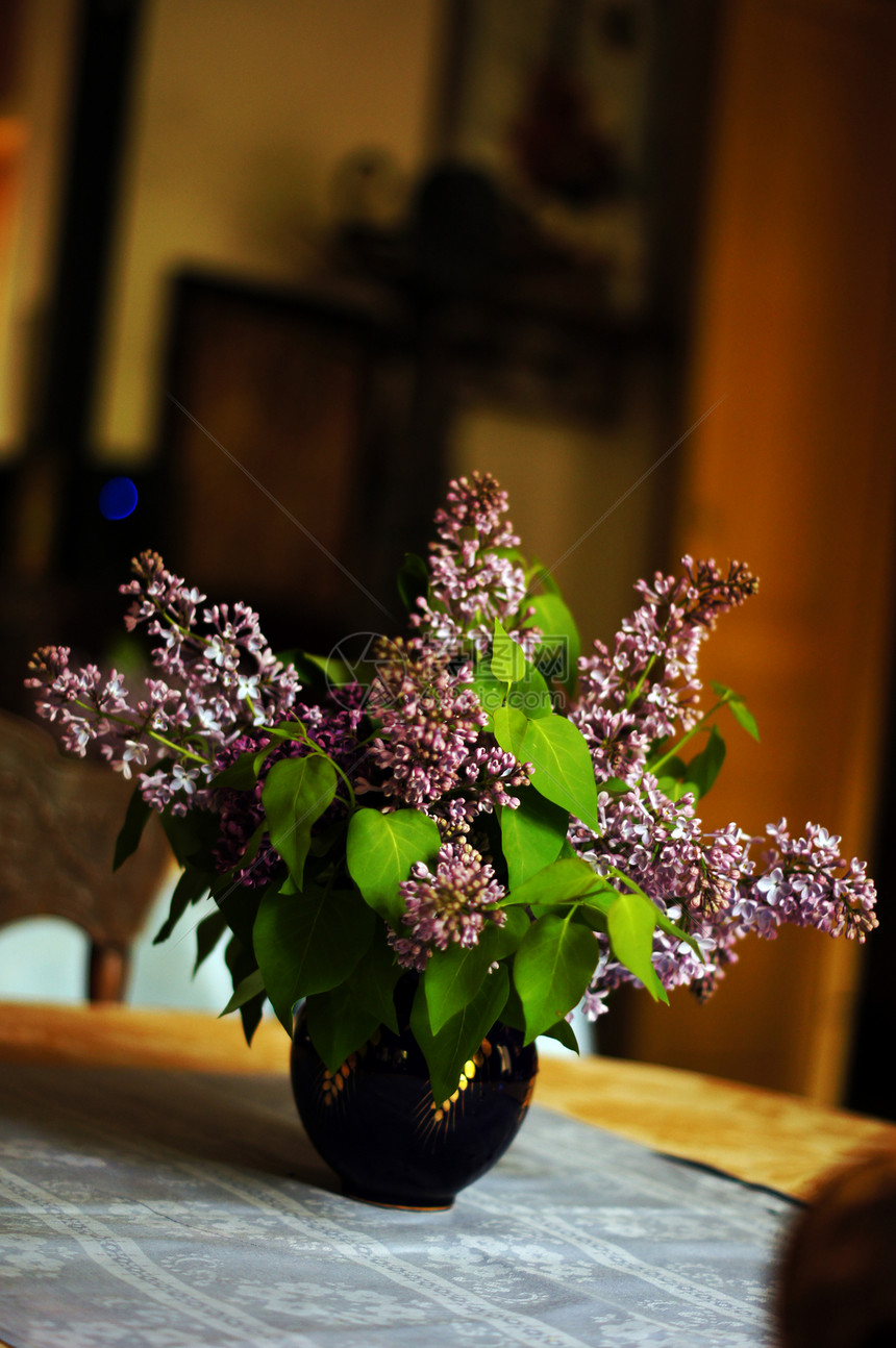 室内装饰 锅中的花礼物花店季节桌子叶子花瓣工作室春花植物紫色图片