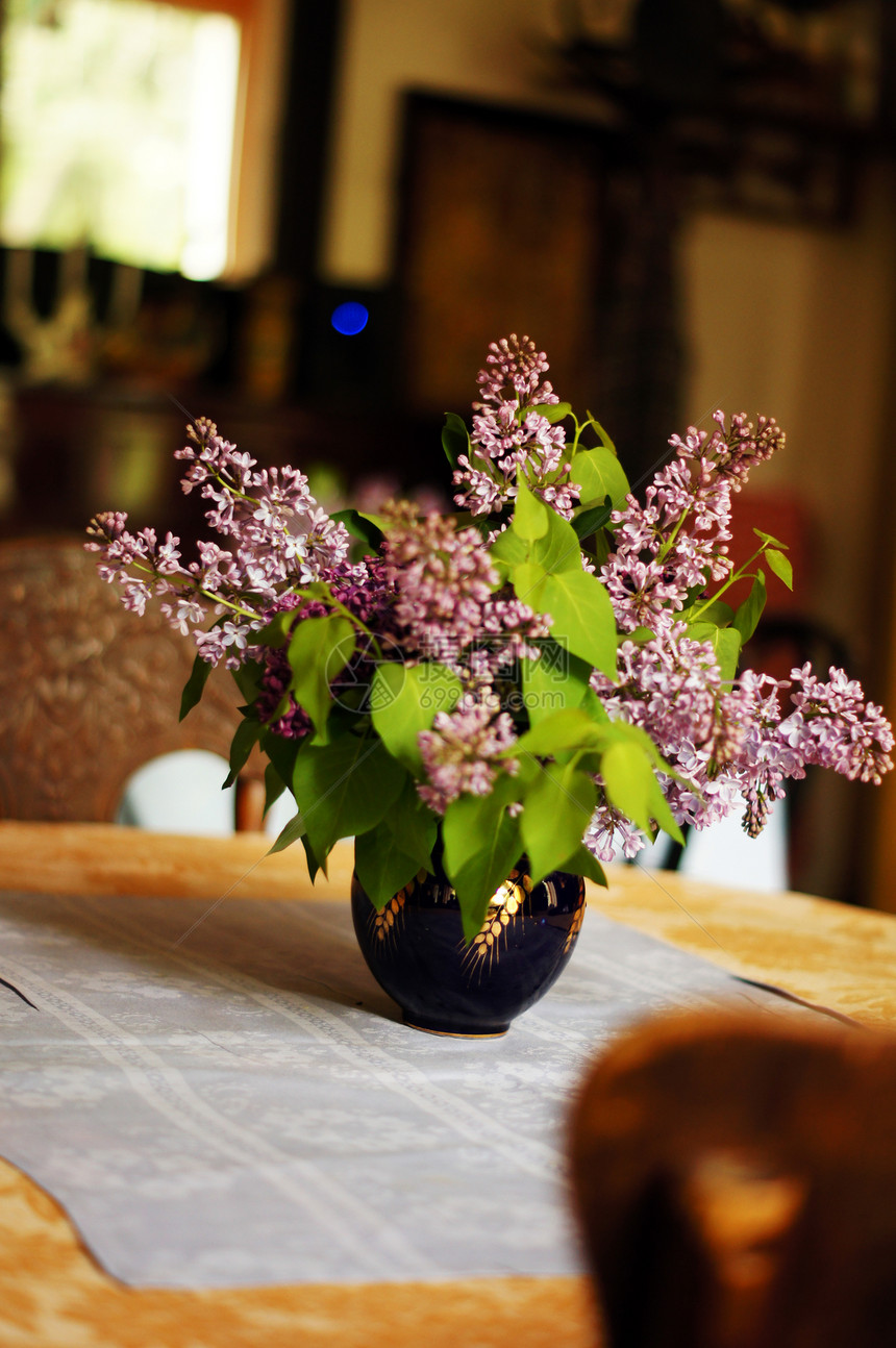 室内装饰 锅中的花紫色花瓣礼物花店植物群春花工作室叶子蓝色花盆图片