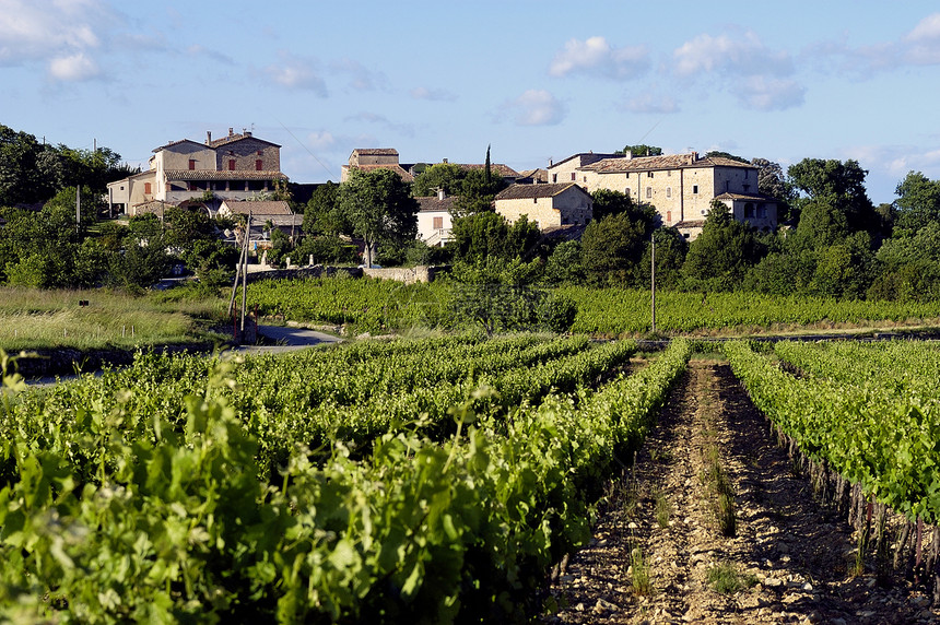 法国加德省Gard省Sommieres村房子日落传统季节风景国家石头场地场景葡萄园图片