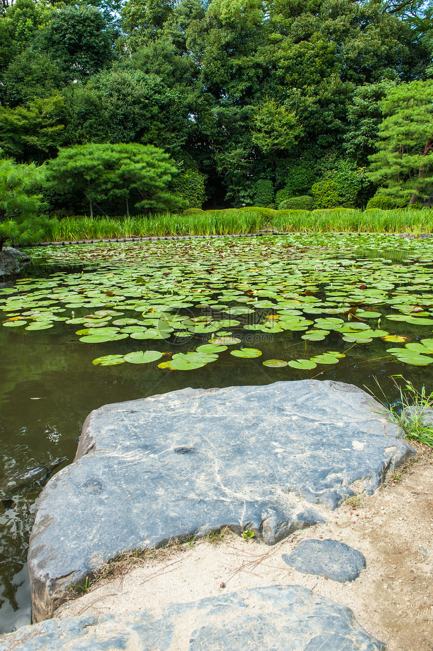 Zen花园百合园艺建筑学软垫锦鲤巨石池塘公园冥想天空图片