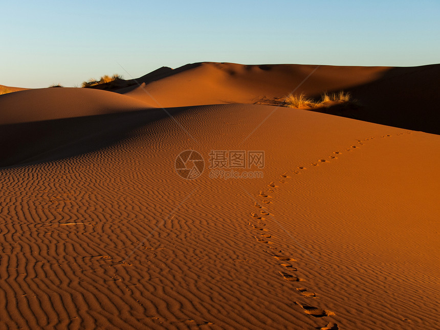沙丘上的脚印天空目的地地形旅游全景蓝色日落沙漠冒险衬套图片