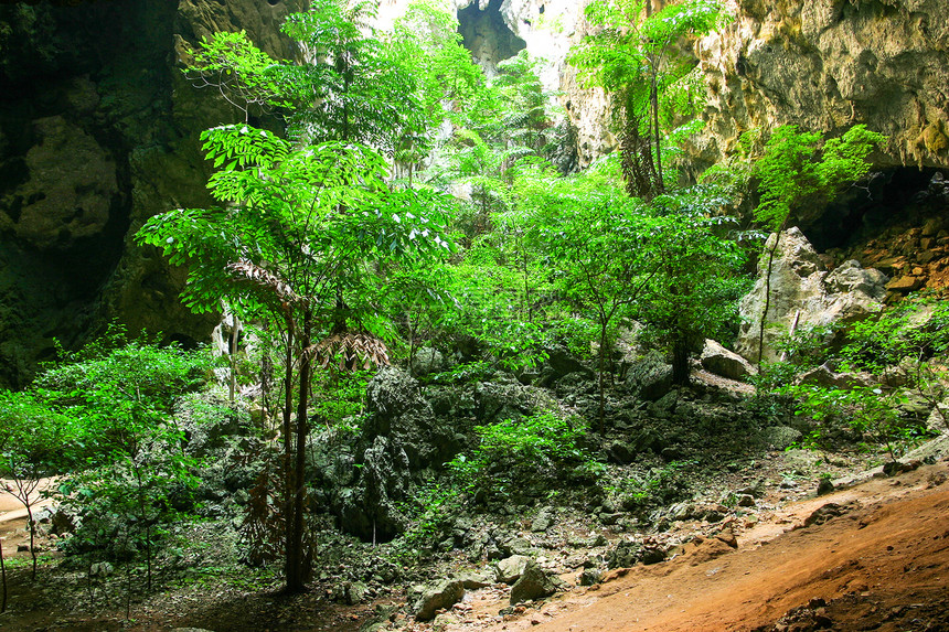 保护热带山山洞阳光旅行洞穴国家公园热带旅游绿色射线丛林图片