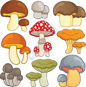 蘑菇主题收藏1背景图片