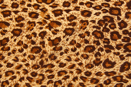 老虎结构荒野猎豹棕色织物材料墙纸背景图片