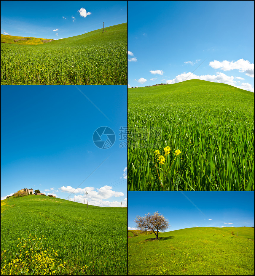 挤压草地种植园土地房子农家小路母猪植物爬坡种子拼贴画图片