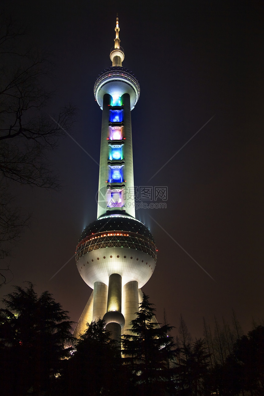 上海电视台夜夜有树的天台图片