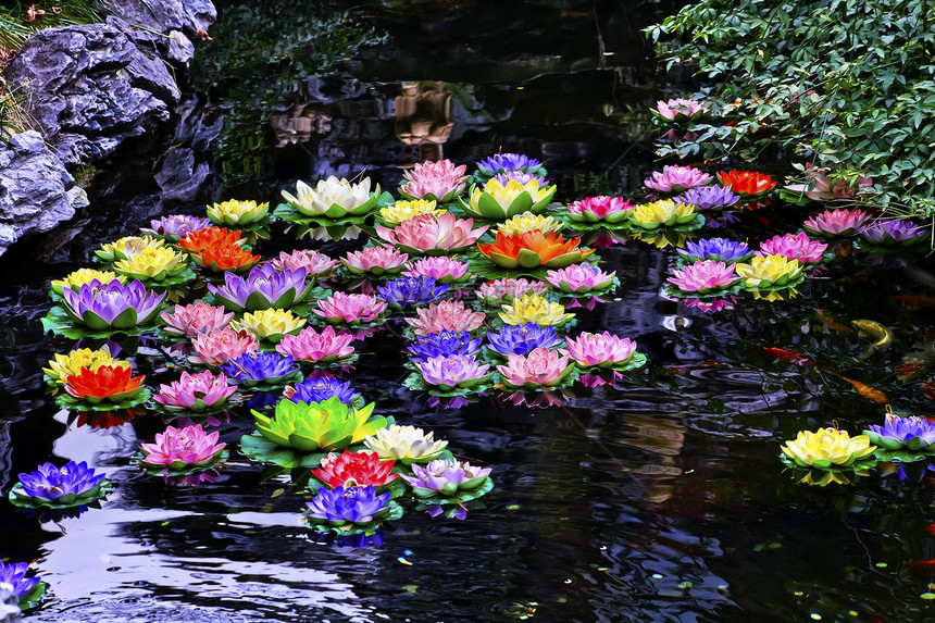 玉佛寺庙文化池塘树叶旅行反射季节花园花朵叶子历史图片