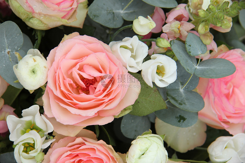 粉红和白白的新娘安排桉树植物学婚姻作品花束白色婚礼花店绿色植物群图片