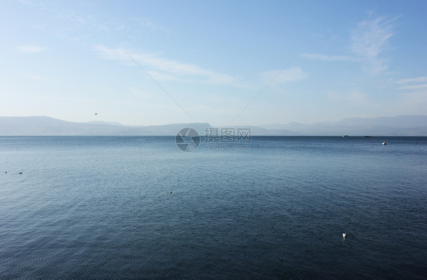 加利利海天空鸟类蓝色图片