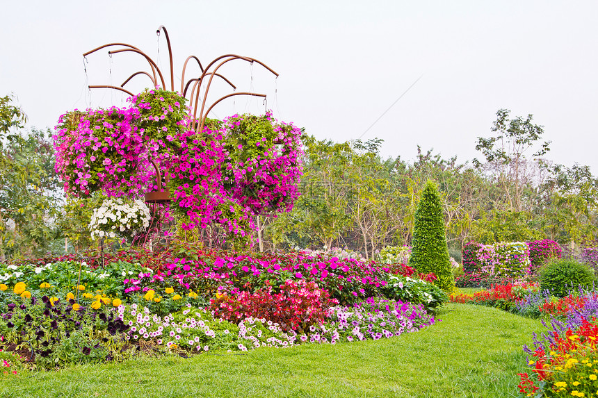 庭园园林植物群绿化园艺绿色裙撑花园公园粉色植物图片