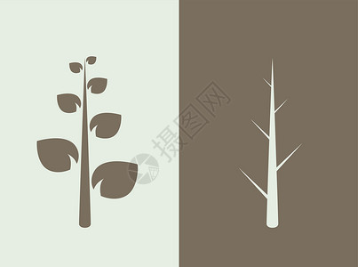 树背景插图环境植物绿色生态背景图片