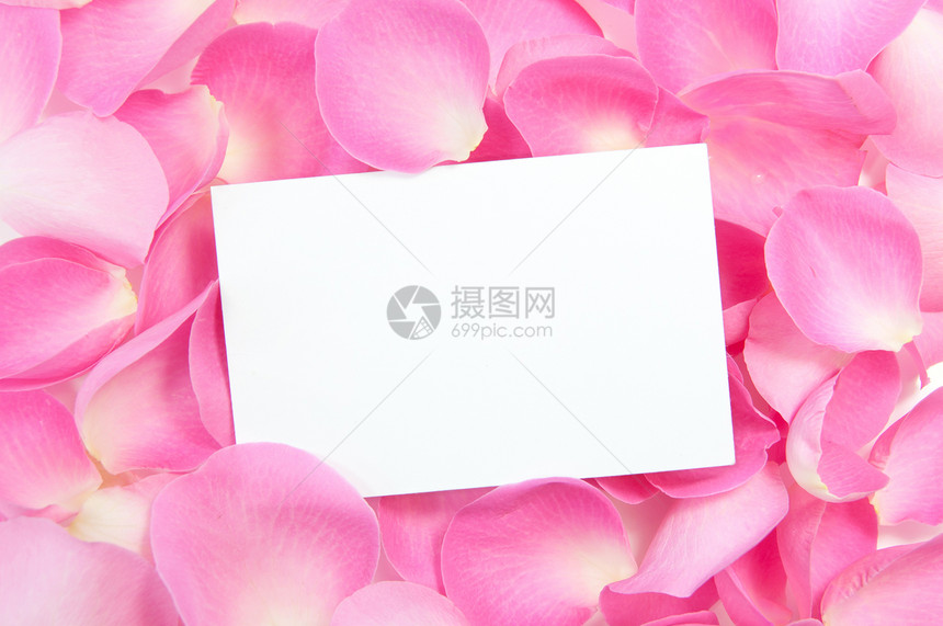带玫瑰的空白卡花瓣卡片浪漫花朵纪念日粉色周年生日图片