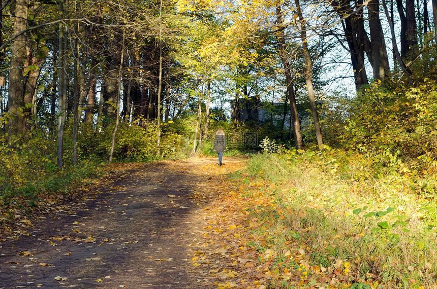 金发金发女人秋秋天在公园森林路山上行走图片