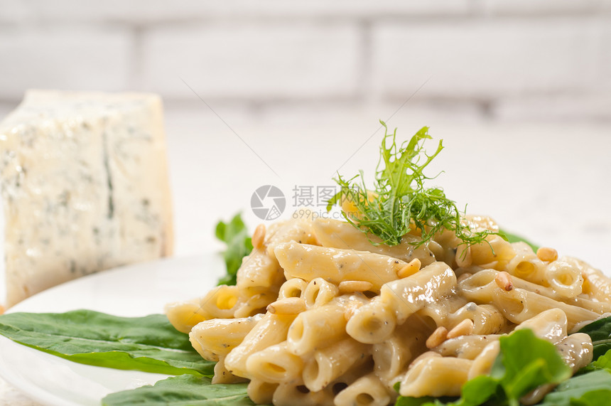 意大利通心粉戈贡佐拉和松子产品干酪桌子松树食物午餐蓝色羊乳硬粒奶油图片