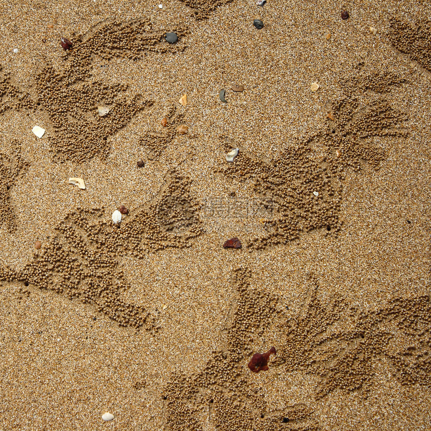 螃蟹制作沙球的背景图片