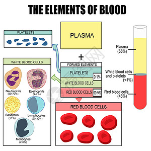 嗜碱性粒细胞血液元素的血插画