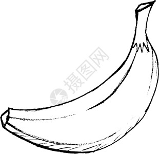 画草图香蕉花园手绘市场草图农业绿色插图水果美食食物插画